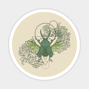 Geometric Beetle Magnet